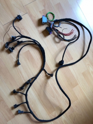 Ecu Master Emu Classic oder Black Kabelbaum Vr6 12V Turbo Plug and Play