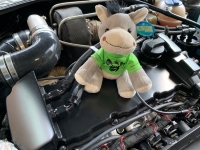 Donkey Tec Maskottchen (Stofftier)